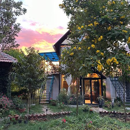 Chalets Resort Masinagudi Udagamandalam Exterior foto