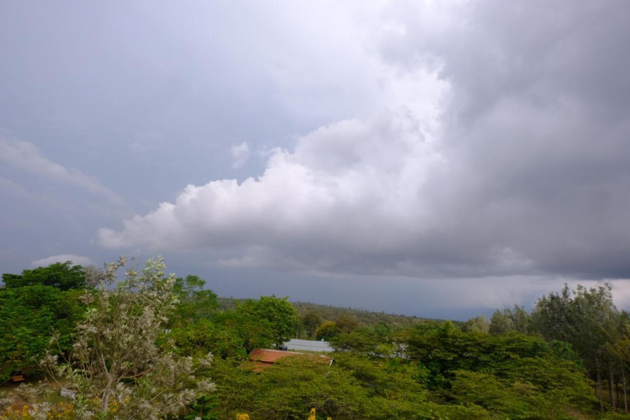 Chalets Resort Masinagudi Udagamandalam Exterior foto