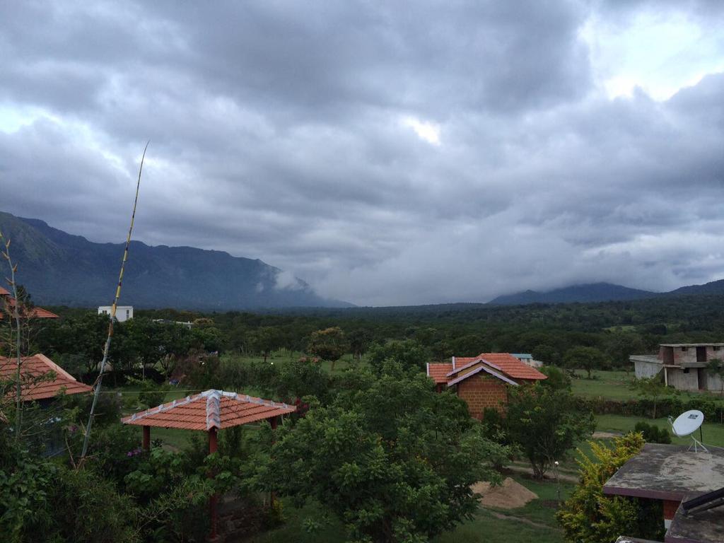Chalets Resort Masinagudi Udagamandalam Exterior foto