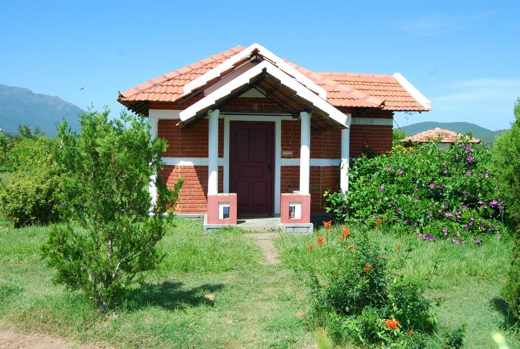 Chalets Resort Masinagudi Udagamandalam Exterior foto